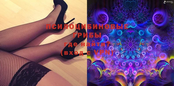 шишки Покров