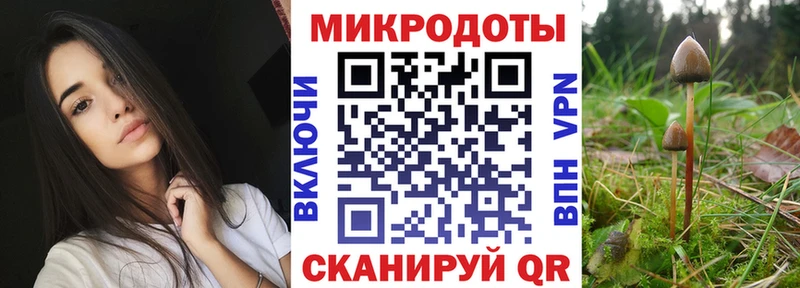 даркнет сайт  Севск  Псилоцибиновые грибы Psilocybine cubensis 